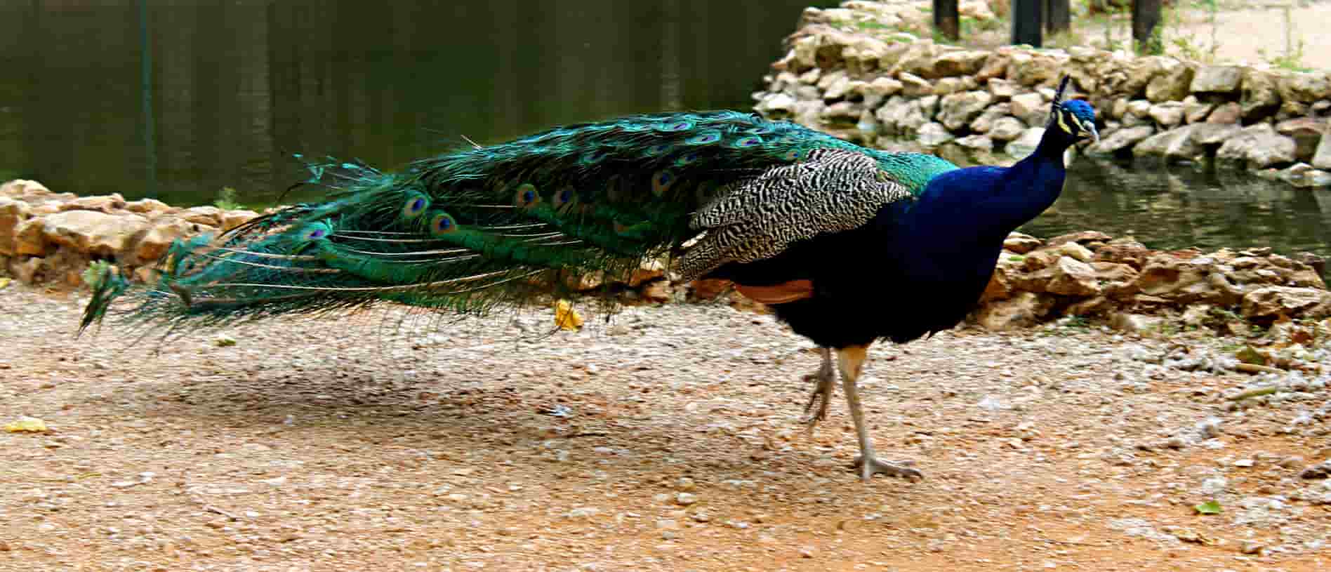 Jugendfreizeitpark „Parque da Juventude de Portimão“