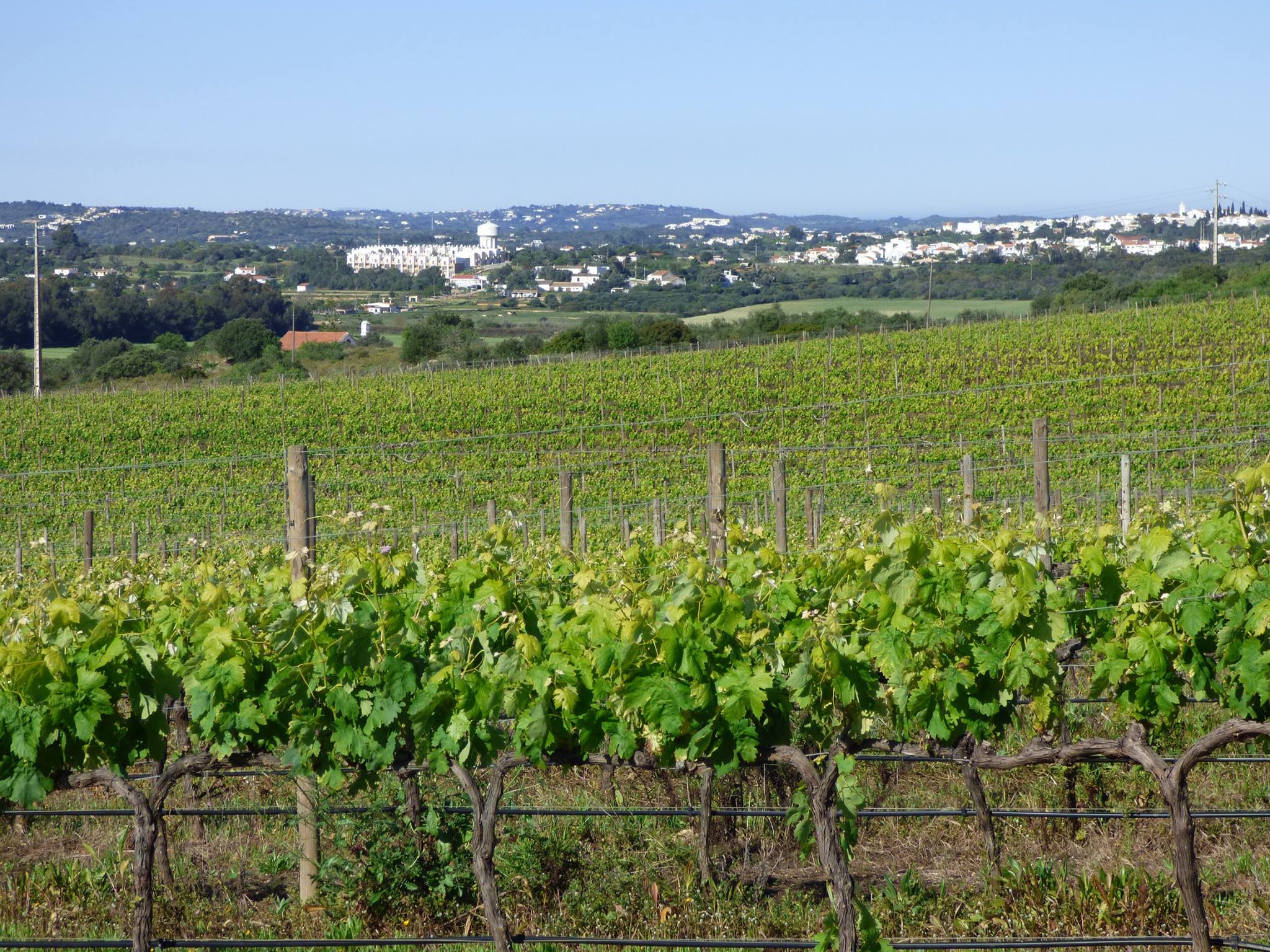 Herdade dos Pimentéis