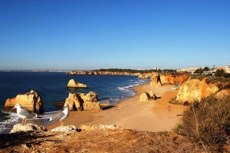 Praia dos Careanos