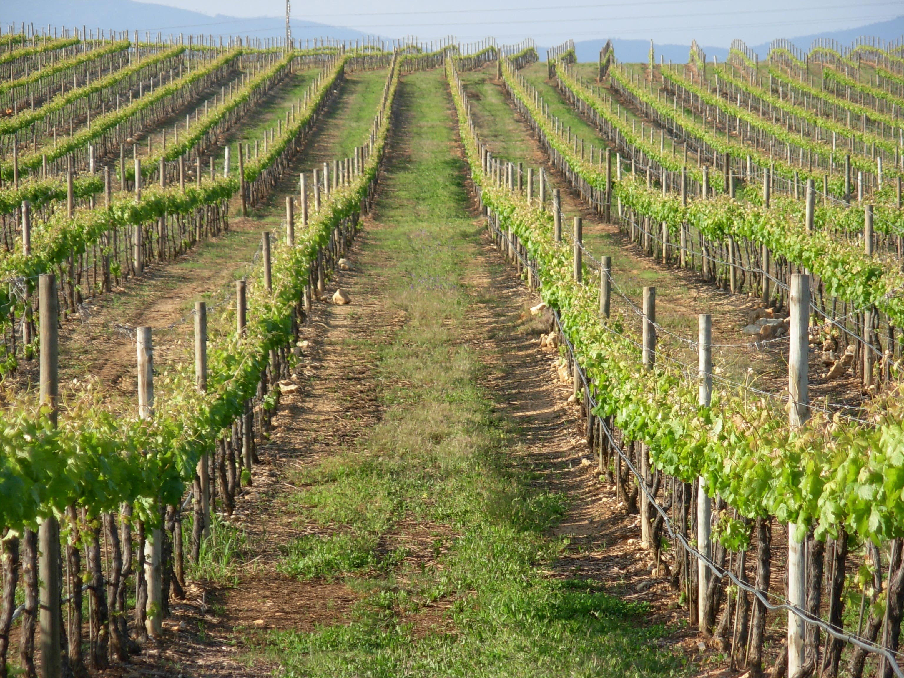 Herdade dos Pimentéis 