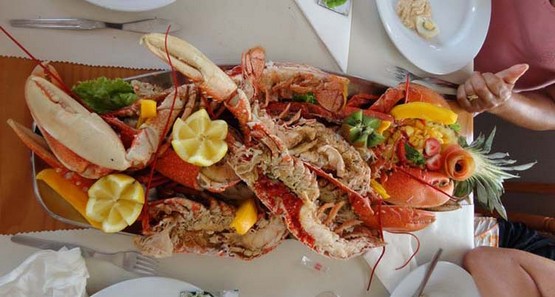 Restaurant Salsada do Zé 