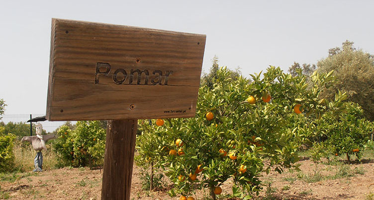 Portimão Educational Farm