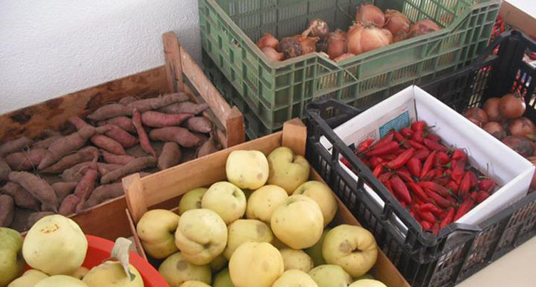 Portimão Educational Farm