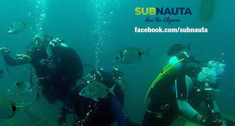 Subnauta