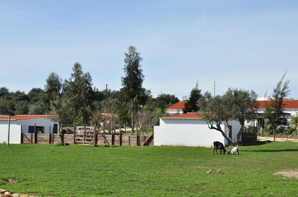 Ferme Pédagogique de Portimão