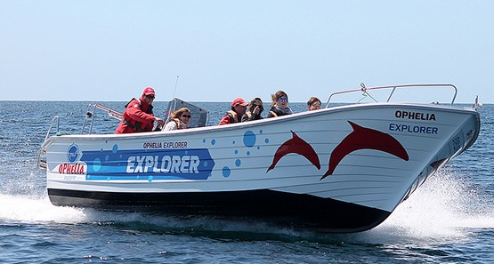 Ophelia Catamaran
