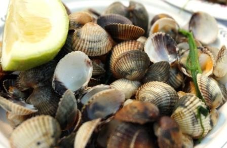 Restaurantes em Alvor