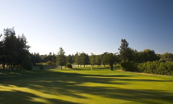 Pestana Alto Golf