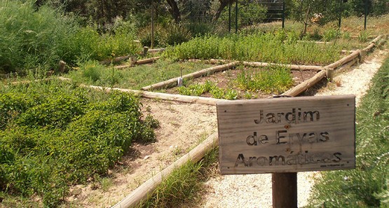 Quinta Pedagógica 