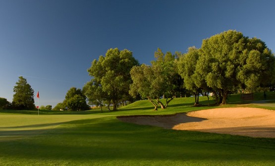 Pestana Alto Golf