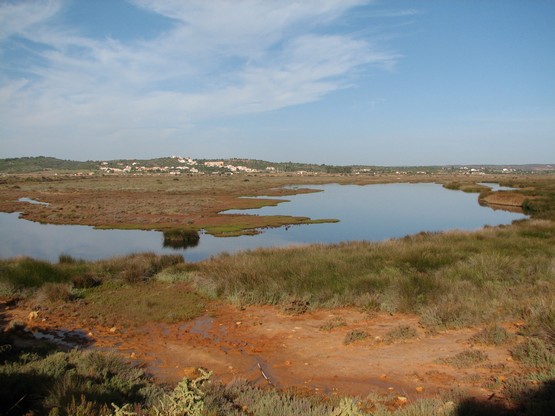 Rocha Delicada