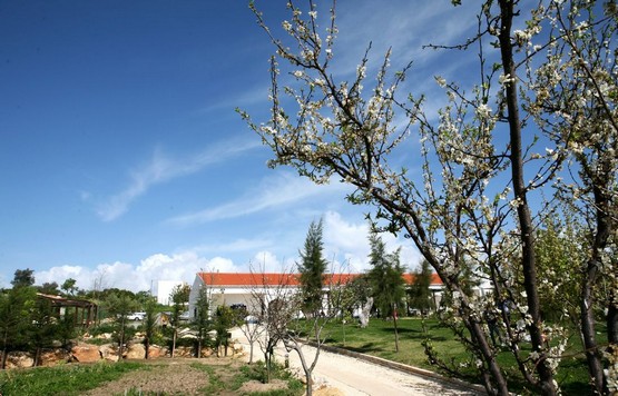 Quinta Pedagógica 