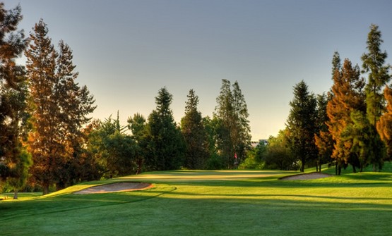 Pestana Alto Golf